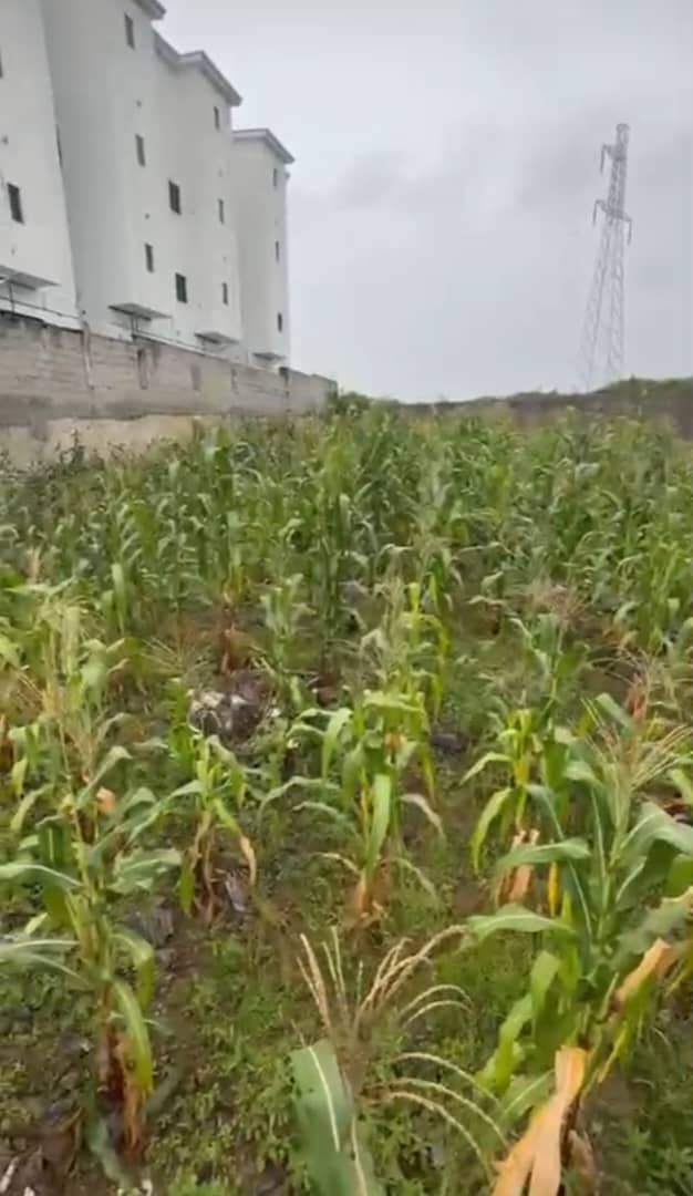 GUZAPE  LAND  FOR  SALE